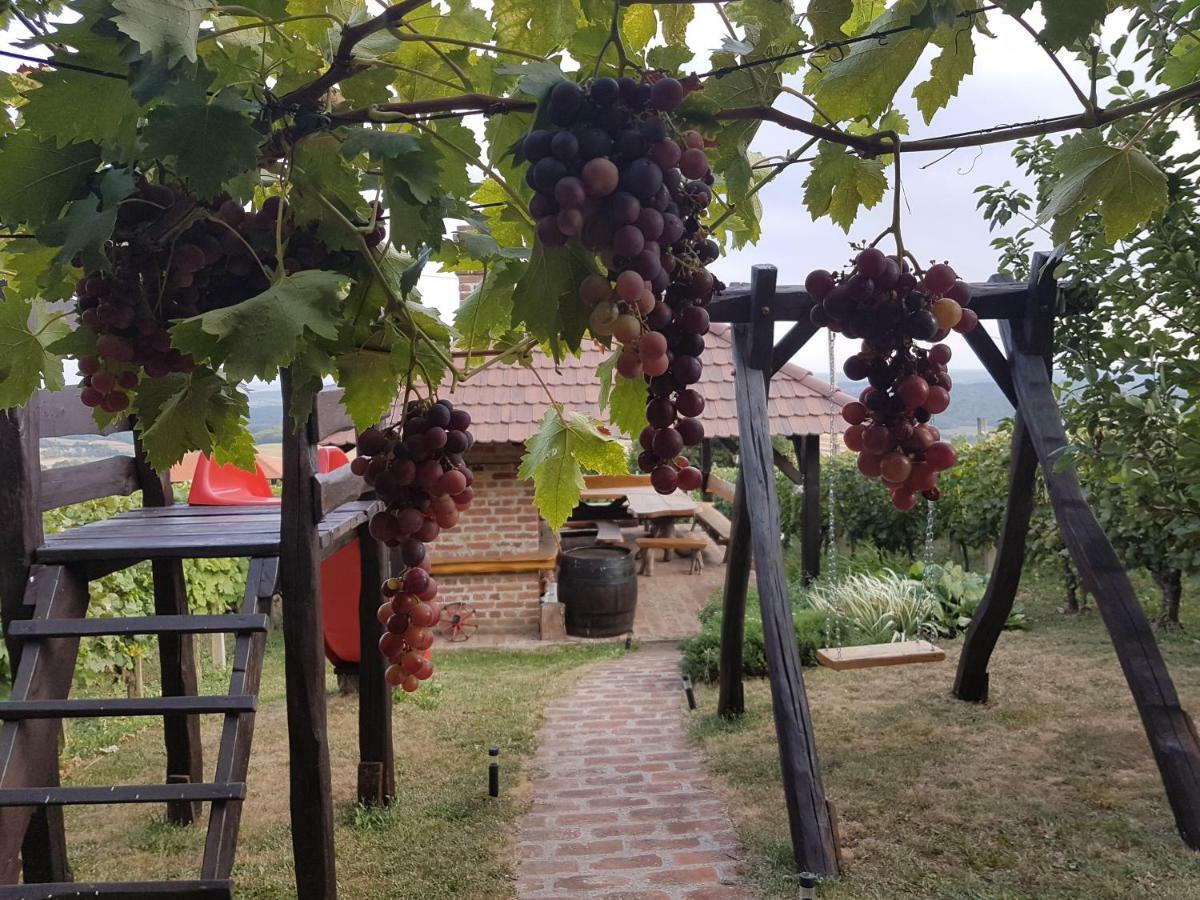 Holiday Home Kalnik 外观 照片