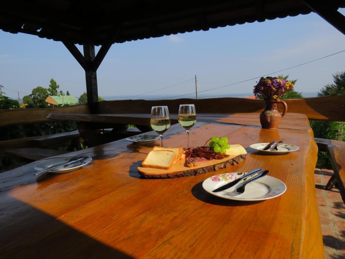 Holiday Home Kalnik 外观 照片